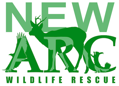 The New Arc Wildlife Rescue